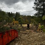 Przywracamy nadzieję! - Odbudowa terenów przy Rezerwacie nad Białką