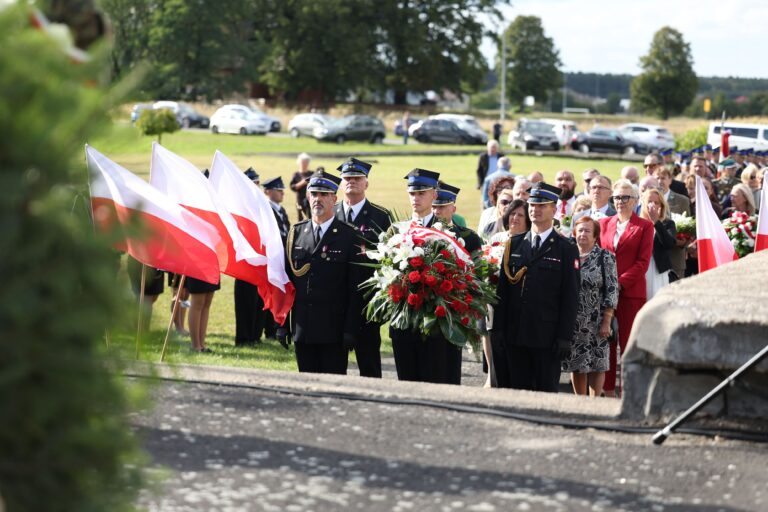 Uroczyste obchody Bitwy pod Mokrą
